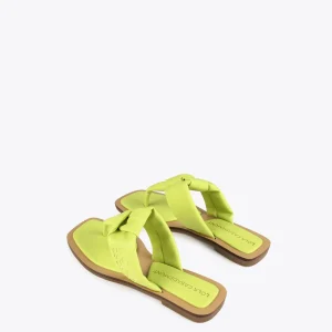 Lola Casademunt Calzado | Baño<Sandalia plana de dedo NEGRO