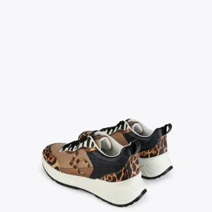 Lola Casademunt Zapatillas Deportivas<Sneakers animal print rejilla |  COLECCIÓN LOLA | Lola Casademunt MARRON